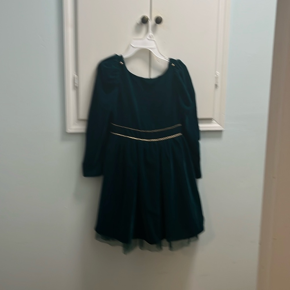 Janie and Jack dark green velvet dress and gold buttons
